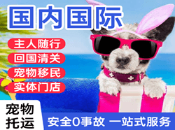 揭阳潮汕航空物流国际宠物托运 【国